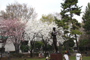 有栖川宮記念公園−１７
