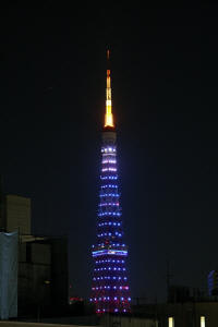 東京タワーダイヤモンドベール−１