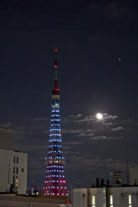 東京タワー2012.11.2.