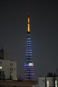 東京タワー2013.6.8-1