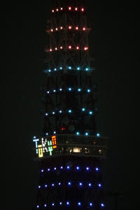 東京タワーダイヤモンドベール−９