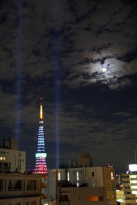 東京タワー2012.11.3-1